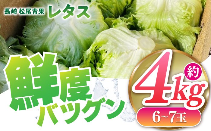 【2026年12月〜発送】レタス 約4kg（6〜7玉）/ れたす 野菜 やさい / 南島原市 / 株式会社松尾青果 [SGU006]