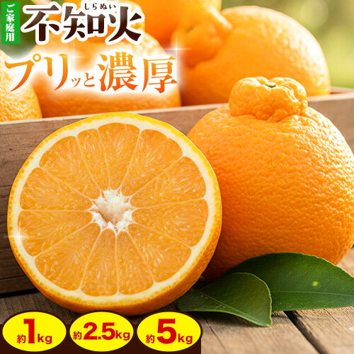 【ふるさと納税】今が旬！只今発送中！完熟 不知火 デコポン 同品種 みかん 選べる 1kg 2.5kg 5kg 池田鹿蔵農園 @日高町 《2026年2月上旬-3月末頃出荷》和歌山県 日高町 送料無料 しらぬい でこぽん 家庭用 訳あり デコみかん【配送不可地域あり】