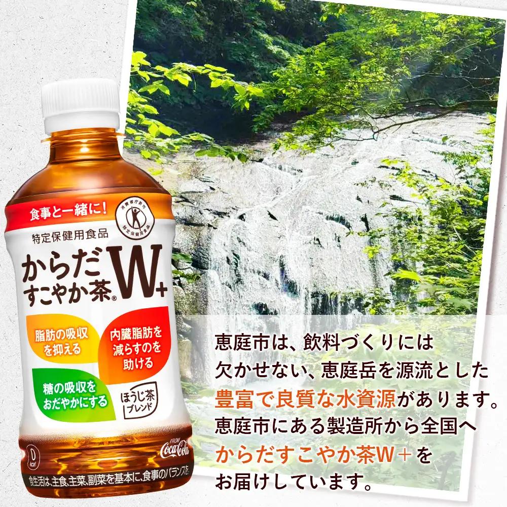 【定期便：12回（隔週発送）】からだすこやか茶W+ 350ml×24本【38004802】