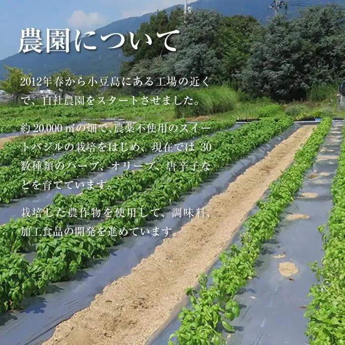 生搾醤油 720ml×5本 こいくち醤油 濃口醤油 しょうゆ 調味料 人気 小豆島 香川 