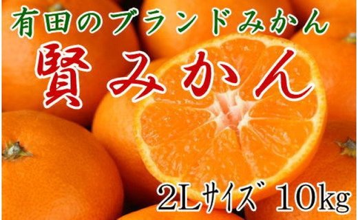 [秀品]有田のブランド「賢みかん」10kg(2Lサイズ)【2024年11月中旬頃より順次発送】BZ077