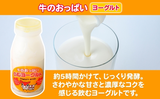 786.牛のおっぱいミルク 5本 のむヨーグルト5本 計10本 飲み比べ セット 牛乳 生乳 ミルク 牛 酪農 飲料 しぼりたて ヨーグルト お取り寄せ ギフト gift 渡辺体験牧場 まとめ買い 北海道 弟子屈町