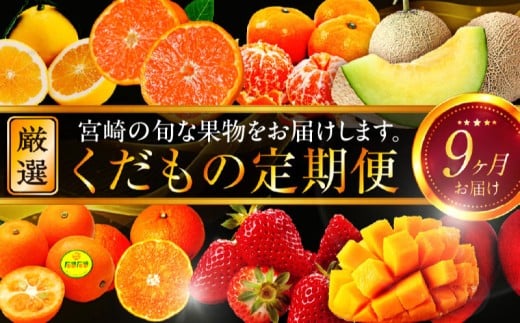 青果店厳選！「くだもの定期便Vol.2」（全9回）｜フルーツ定期便｜_M153-005