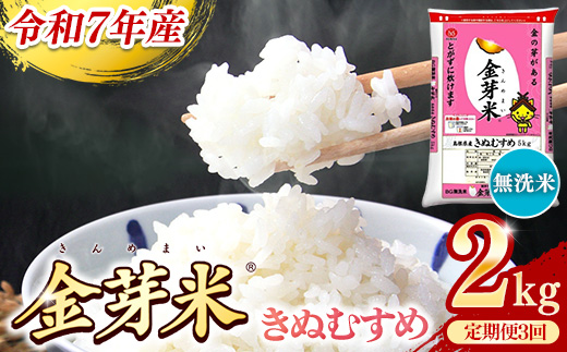 BG無洗米・金芽米きぬむすめ 2kg×3ヵ月 定期便【毎月】【令和7年産 3ヶ月 時短 健康 米 BG 無洗米 計6kg 島根県産 新生活応援 お試し 節水 時短 アウトドア キャンプ 東洋ライス 健康 島根県 安来市】