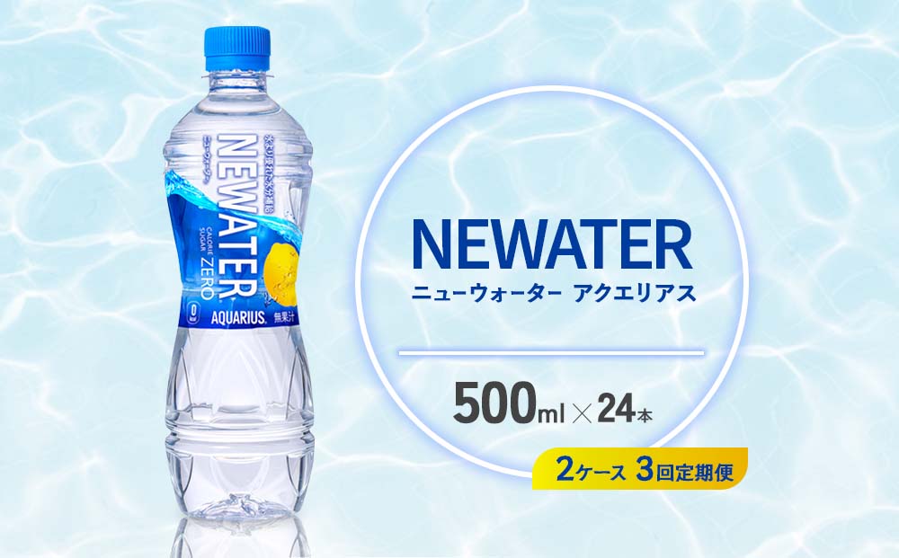 【3回定期便】アクエリアス ニューウォーター 500ml PET【コカ・コーラ】ペットボトル 2ケース(48本) 定期便 3回(144本) セット スポーツドリンク スポドリ カロリーゼロ 熱中症対策 水分補給 清涼飲料水 宮崎県 えびの市 送料無料