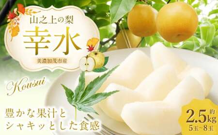 《先行予約》 「山之上果実農業協同組合」 山之上の梨 幸水 1箱 約 2.5kg （ 5-8玉 )  【2026年8月上旬-8月下旬 発送予定】