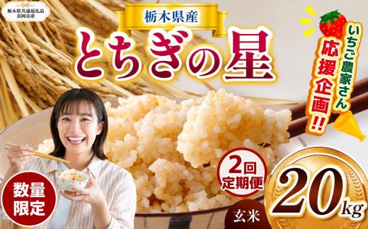 【定期2回】訳あり 数量 限定 定期便 令和8年度産 とちぎの星 約 20kg | とちぎの星 ミルキークイーン お米 kome okome ご飯 米 玄米 白米 ごはん おいしい  ふるさと納税 栃木県 那珂川町 送料無料【栃木県共通返礼品 】