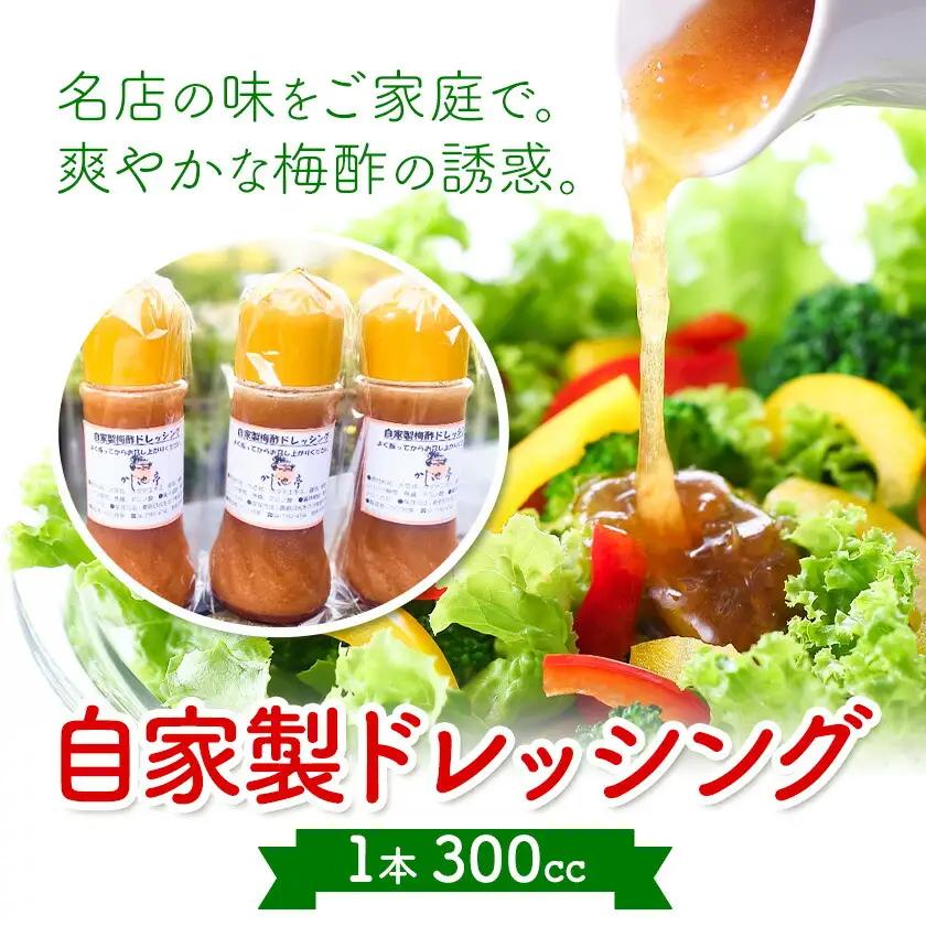ドレッシング 自家製 300cc 6本