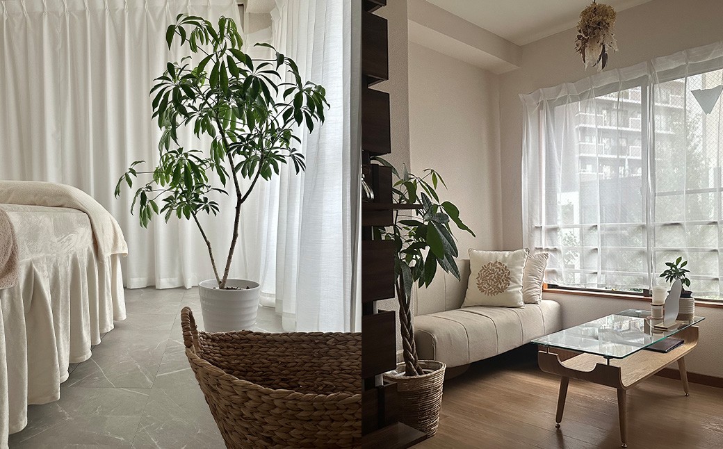 ボディケアサロンCocoemi+ お悩み集中コース90分