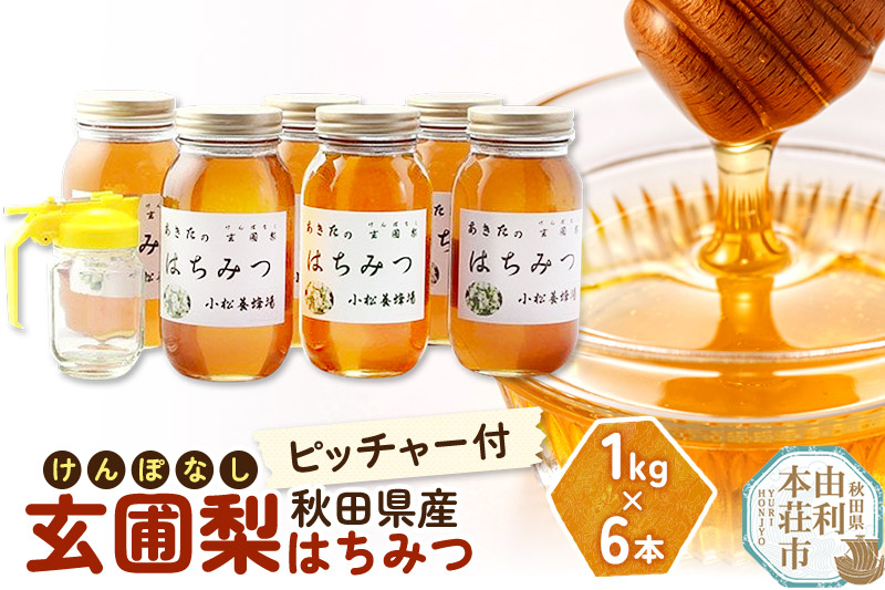 
小松養蜂場 はちみつ 秋田県産 100% 玄圃梨蜂蜜 1kg×6本 ピッチャー付
