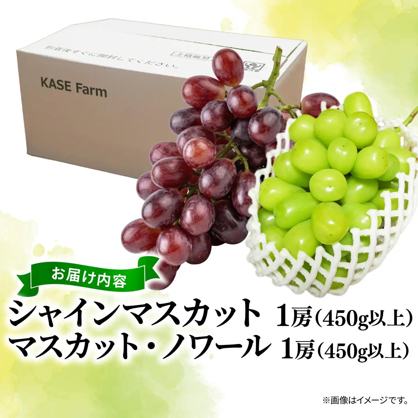 訳あり シャインマスカット × マスカット・ノワール （ 種なし ） 1房 450g 以上