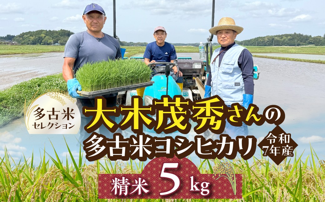 
                  多古米セレクション　大木茂秀さんの多古米コシヒカリ　精米5kg　令和7年産 TAKF055
                