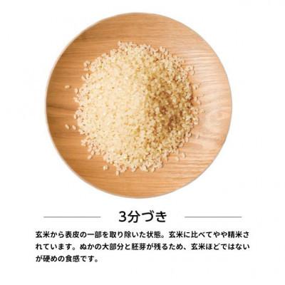 ふるさと納税 潟上市 【毎月定期便】秋田県産あきたこまち 20kg(5kg×4袋)(三分づき)全12回 |  | 01