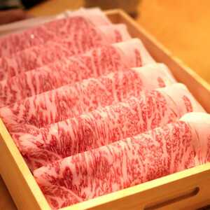 飛騨牛 サーロイン / リブロース 500g しゃぶしゃぶ