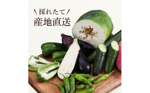 どっさり！新鮮野菜の詰合せ 7～10種類 ピーマン 茄子 なす ナス おまかせ 特産品 野菜 やさい 野菜セット おかず 健康 新鮮 詰め合わせ お楽しみ お取り寄せ 通販_イメージ5