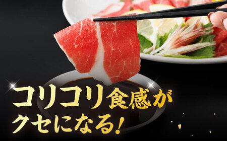 ヤング馬刺し 計600g（6pc）＋タレ大【馬刺しの郷 民守】[ZBL013]