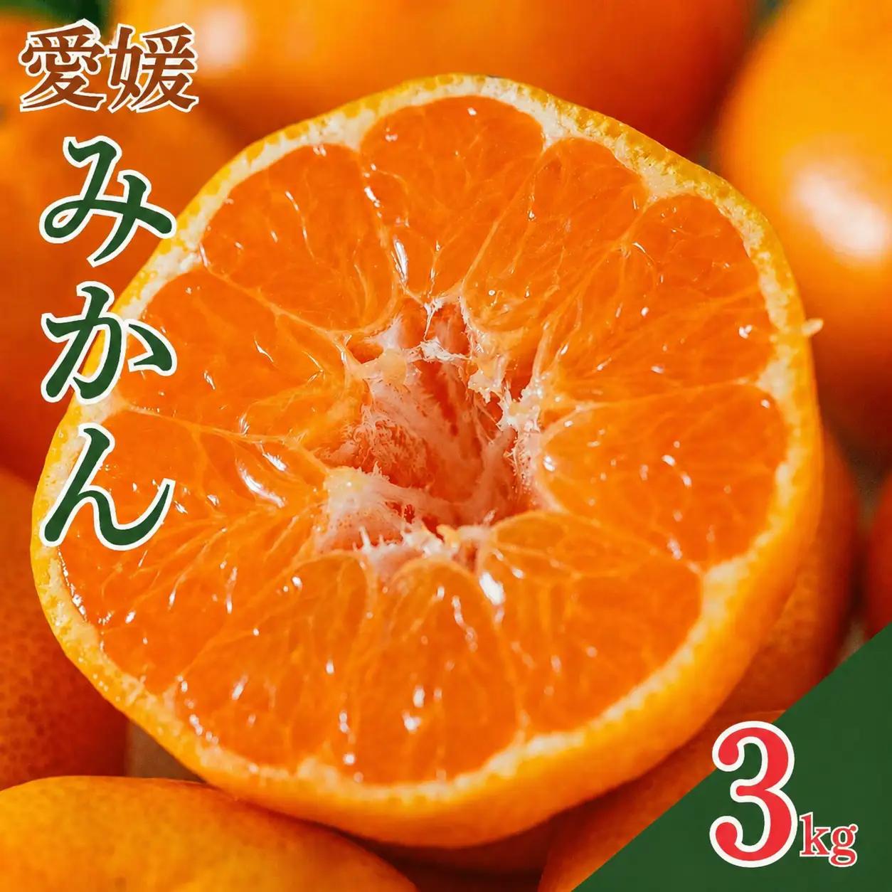 【先行予約】愛媛みかん 3kg (傷み補償200g付き)  みかん 愛媛県 愛南町 吉本農園