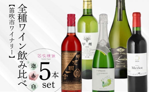 ワイン全種飲み比べ5本セット 157-034