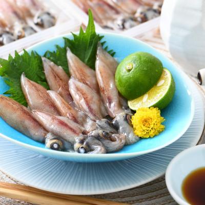ふるさと納税 越前町 【越前海岸・美味直送シリーズ】ホタルイカ(刺身・しゃぶしゃぶ用) |  | 02