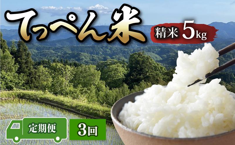 
                  【先行予約】令和8年産 こしひかり 5kg 3回 定期便 数量限定 コシヒカリ 精米 こだわり もっちり 甘み 食味ランクS 最高評価  hakumai ※ ご飯 ごはん 単一原料米 ブランド米 銘柄米 2026年産 おいしい 美味しい 石川県 石川 能登 羽咋 支援 応援 復興応援 復興支援 お米 米 白米 おこめ こめ kome okome ふるさと納税米 定期便米 米定期便 産地直送
                