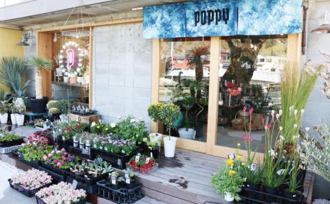 季節の花苗のバスケット ポピー Flowershop Poppy 花苗 花 苗  バスケット 生花 誕生日 記念日 プレゼント Flower フラワー  国産 愛媛 宇和島 K012-125002