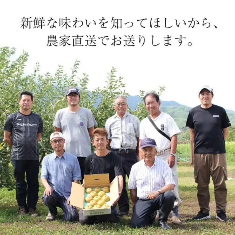 梨 幸水 約5kg（9～14玉） 松川町産 贈答／2026年8月中旬～配送 [KW08]//長野県 南信州 松川町 和梨 梨 なし ナシ 産地直送 農家直送 農家支援 贈答 幸水 果物 フルーツ