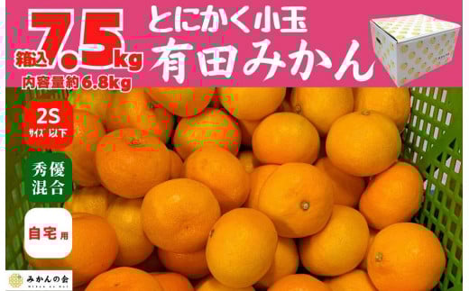 
            みかん とにかく小玉 箱込 7.5kg (内容量約 6.8kg) 2Sサイズ以下 秀品 優品 混合 有田みかん 和歌山県産 産地直送 家庭用 ［2025年11月中旬より2026年1月中旬頃順次出荷予定］［みかんの会］　
          