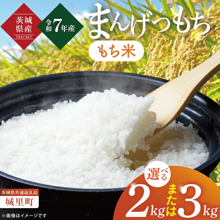 【ふるさと納税】【選べる内容量】【数量限定】【令和7年度産 新米】茨城県産マンゲツモチ2kg・3kg（茨城県共通返礼品/城里町）【お米 ごはん もち米 おいしい 餅 茨城県産 水戸市】（IH-100）