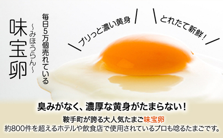 朝獲れ卵 味宝卵 (30個) 卵 Lサイズ： 鶏卵《90日以内に出荷予定(土日祝除く)》---iskr_ngmmihoran_90d_23_8200_30p---