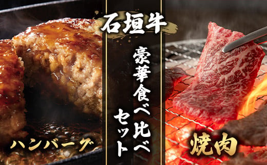 ≪特選≫ 石垣牛100% ハンバーグ (100g×3個) ＆ ≪特選≫ 石垣牛 元卸のお任せ焼肉 (180g) セット（八重山パーツミート）I-17-1