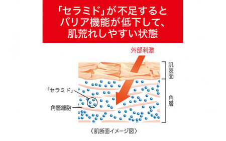花王 キュレル エイジングケア クリームセット【 化粧品 コスメ 神奈川県 小田原市 】