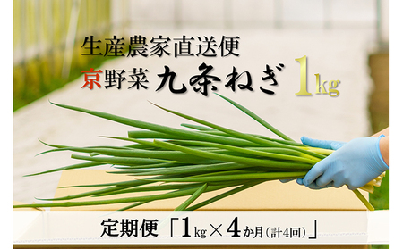 【4か月定期便】生産農家直送 京野菜・九条ねぎ1kg〈ねぎ 野菜 京都
