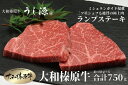 【ふるさと納税】（冷凍） 大和榛原牛 稀少部位 赤身 あっさり もも ランプ ステーキ 150g×5枚 計750g ／ うし源 本店 ふるさと納税 A5 牛肉 お肉 和牛 お取り寄せ キャンプ BBQ アウトドア 父の日 母の日 奈良県 宇陀市 お中元 暑中見舞い お土産