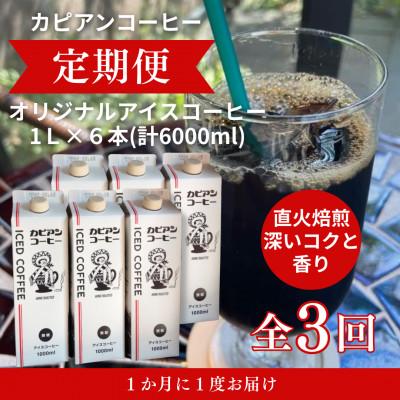 ふるさと納税 ひたちなか市 【毎月定期便】カピアンオリジナルアイスコーヒー1L×6本(計6000ml)全3回