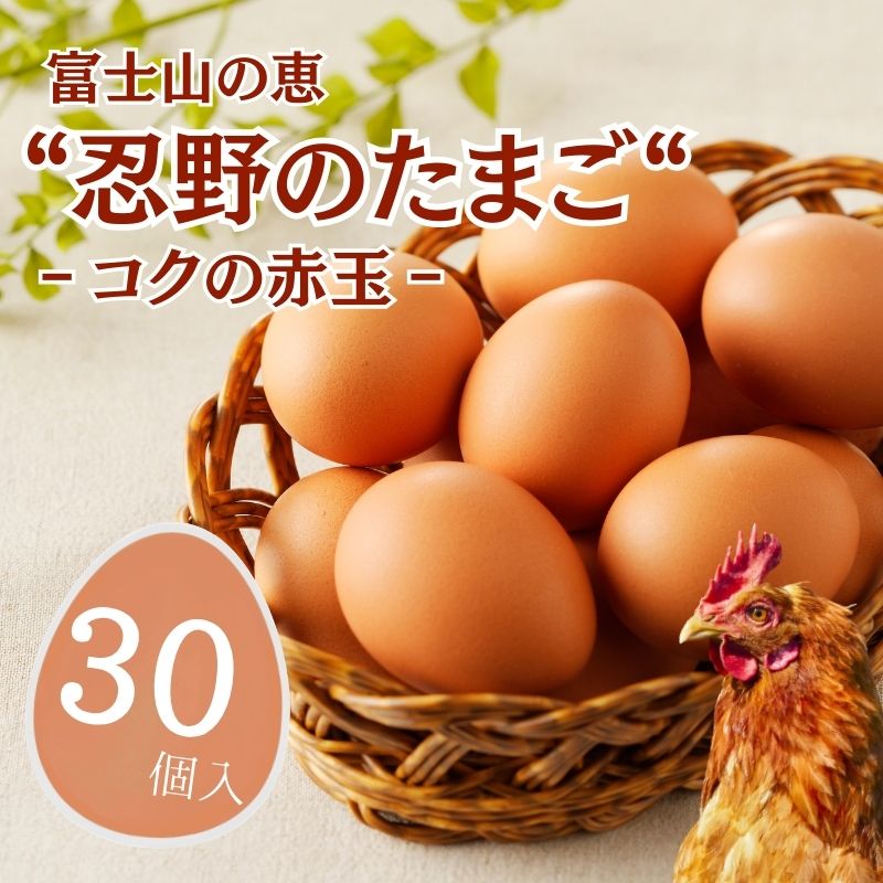 【ふるさと納税】富士山の恵“忍野のたまご“‐コクの赤玉‐30個入　|| 山梨県産 新鮮 たまご たっぷり 卵 たまご 玉子 送料無料 送料込 家庭用 鶏卵 生卵 コク うまみ 濃厚 美味しい 自然豊か のどか 白身 黄身 プリン 安心 元気 栄養満点 安全 こだわり 贈答 贈り物 旨い
