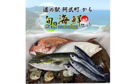 山口県 阿武町 道の駅 厳選 ！ 当日水揚げ 鮮魚 セット 約4～5kg 新鮮 豪華 旬 獲れたて 魚 さかな サザエ 海鮮