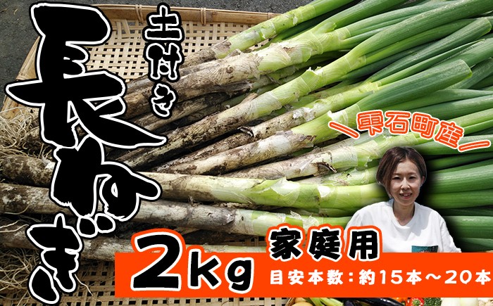 
                  岩手県産 極楽野 土付き 長ねぎ 2kg 以上 目安本数約 15本 ～ 20本 家庭用 【高橋農園】／ 長ネギ 長葱 ねぎ ネギ 葱 白ねぎ 白ネギ 白葱 新鮮 野菜 やさい 人気野菜 国産 EM栽培 産地直送 農家直送 季節限定 期間限定 人気 薬味 鍋 串焼き おすすめ
                