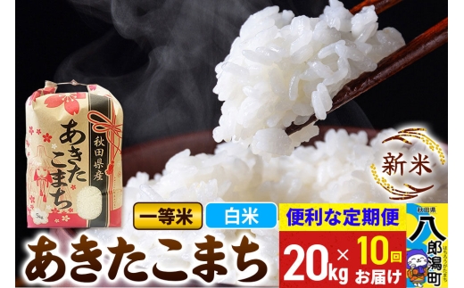 《新米》《定期便10ヶ月》あきたこまち 一等米 20kg【白米】 令和8年産 秋田県産 こまちライン [新米 こまちライン あきたこまち ブランド米 お米 白米 精米 米どころ 秋田 秋田県産]