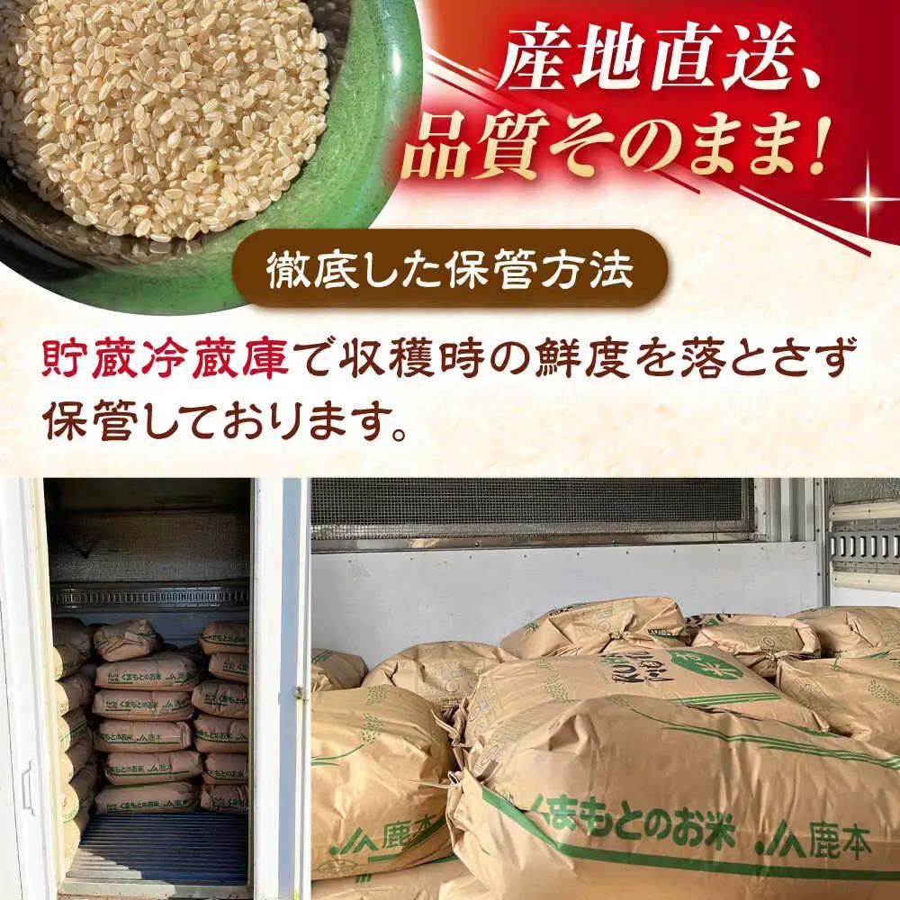 【天日塩を使用】一鹿米 ヒノヒカリ 米 玄米 10kg 【株式会社 夢アグリ】[ZCL030]