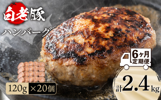 
【定期便 6カ月】 北海道産 白老豚 ハンバーグ 120ｇ×20個 セット 冷凍 洋食 おかず
