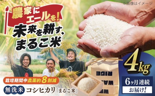 【全6回定期便】無洗米 コシヒカリ 滋賀県西浅井町産「まるこ米」4kg（2kg×2）　滋賀県長浜市/ONE SLASH 株式会社[AQCZ018]  米 お米 白米 無洗米 こしひかり 4kg 地域 応援 定期便