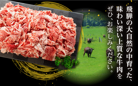 《簡易包装》【訳あり】うまい赤身にこだわった 牛飼いの和牛肉 切り落とし スライス 飛米牛 1.2kg (300g×4) [Q2423]