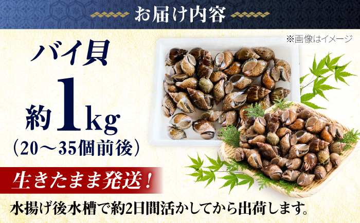 【先行予約】【2026年4月以降順次発送】豊前海産 バイ貝 1kg   (20～35個前後) 《築上町》【明青丸】 バイガイ 貝 カイ [ABCB004] 15000円 1万5千円