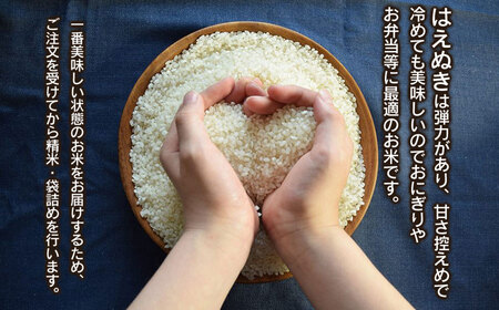 数量限定 【令和7年産先行予約】 山形県庄内産 小池半左衛門のお米 はえぬき 精米 5kg (5kg×1袋)