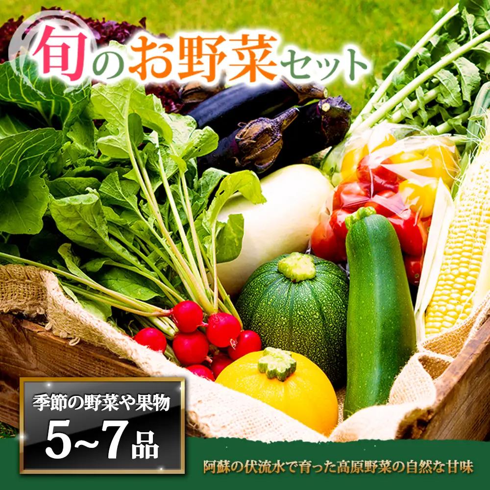 ＜畑から直送＞季節のお野菜セット Mサイズ（5～7品）