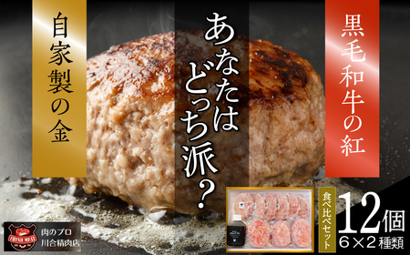 自家製 ハンバーグ 食べ比べ 12個セット ( 6個 × 2種類 ) 小分 パック 冷凍保存 肉 牛肉 おかず お弁当 ジューシー ランキング ギフト 贈答 プレゼント 熨斗 のし 牛 豚 鶏 羊 福島県 田村市 川合精肉店