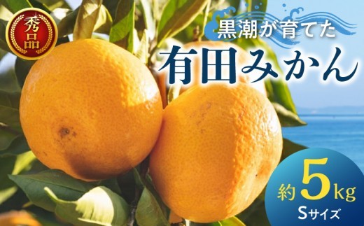 
                  黒潮が育てた 有田みかん 約5kg (Sサイズ) 秀品_AE6105n
                