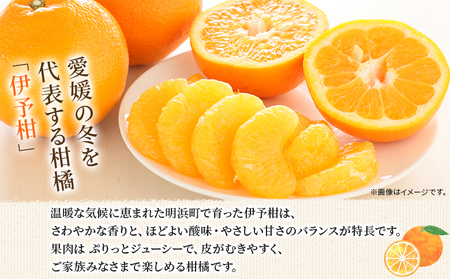 【先行予約】＜伊予柑 家庭用 約2.5kg＞ご家庭用 いよかん イヨカン みかん 蜜柑 柑橘 訳あり 果物 くだもの フルーツ ミカン 愛媛 国産 2.5キロ ジューシー 明浜 特産品 笑丸 愛媛県 