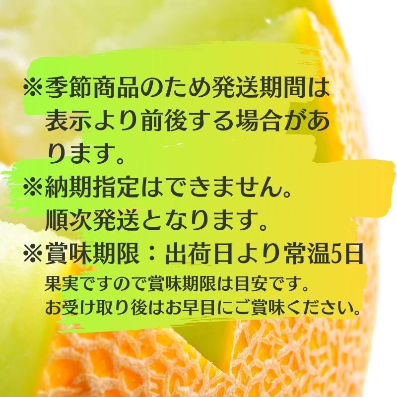 銭形メロン 2玉 化粧箱入り 約2.5kg　［アールスメロン］ 果物類 フルーツ