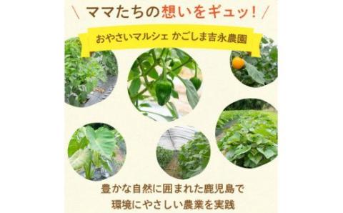 ZS-715 【訳あり】【数量限定】ママたちの想いをギュッ！薩摩で育ったほくほくじゃがいも（ニシユタカ） 10kg